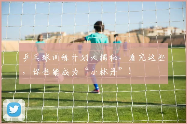 乒乓球训练计划大揭秘，看完这些，你也能成为“小林丹”！