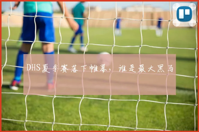 DHS夏季赛落下帷幕,谁是最大黑马